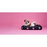 Vuch Buddys Dotty Black | Shoptok.si