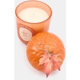 Sinsay Svijeća Autumn Harvest | shoptok.hr