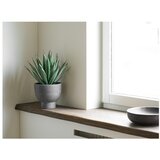 House Nordic Umjetna biljka (visina 41 cm) Agave – | shoptok.hr