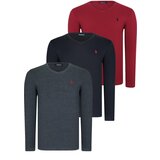 Dewberry TRIPLE SET T8587 V-NECK MEN'S SWEATSHIRT-BLACK-ANTHRACITE-BURGUNDY | shoptok.hr