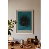 Wallxpert uramljena slika 115211, The Black Peacock Ohare Kosona, crni paun, tirkizna pozadina, 50 x 70 cm, beli ram | Eponuda.com