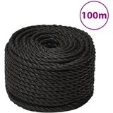 vidaXL Radno uže crno 10 mm 100 m od polipropilena Cijene