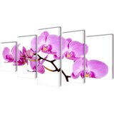  Zidne Slike na Platnu Set s Printom Orhideja 100 x 50 cm | shoptok.hr