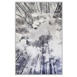Conceptum Hypnose tepih Hmnt787, 80x120cm, šareni | Eponuda.ba