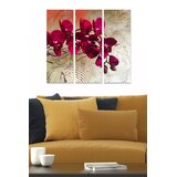 Wallity Set slika MDF2137992, 3 dijela | Eponuda.ba