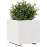  Vrtna sadilica bijela 50 x 50 x 49,5 cm od masivne borovine | shoptok.hr