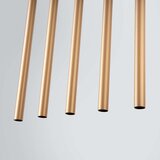  Obesna svetilka PASTELO 5L zlata, (21626832) | Shoptok.si