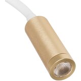 Kanlux 32518 - LED fleksibilna lampica TONIL LED/3,3W/230V bela/zlatna | Eponuda.com