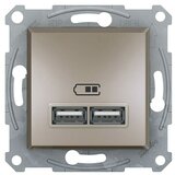 Schneider Electric Asfora Zidna utičnica s USB utorom (Bronca, 2-struko, Podžbukna montaža, Plastika) | shoptok.hr