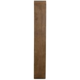 Light & Living Regal od masivnog manga u tamnoj prirodnoj boji 100x200x30 cm Labare – | shoptok.hr
