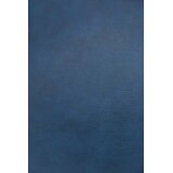 STRYVE Aktivna lopta | umjetna koža, visokokv. lopta za vježbanje, plava, 65 cm | shoptok.hr