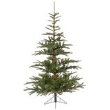  Nobilis fir 150cm-102cm Everlands 68.9200 | Eponuda.com