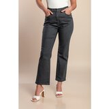Fenzy Plus Size Kavbojke, Sive | Shoptok.si
