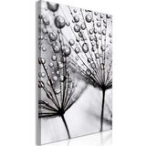  Slika - Morning Dew (1 Part) Vertical 40x60 Cijene