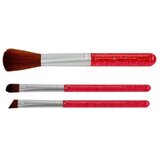  Set za lepoto z ovitkom masažer šminka | Shoptok.si
