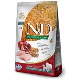N&d LG Senior Medium & Maxi Chicken & Pomegranate 12kg Cene