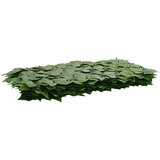  Zaslon za balkon s lišćem Zelena 400 x 150 cm | shoptok.hr