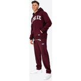 Benlee Men's hooded sweatshirt regular fit | Shoptok.si