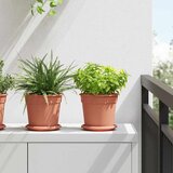  Saksije za biljke 6 pcs Crvena cigla Ø 17 x 14 cm Plastika | shoptok.hr