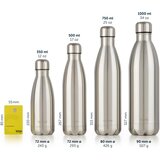 BLUMTAL termo steklenica Charles 350ml | Shoptok.si