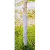 Traka za zaštitu debla 100cm, 3kom Cijene