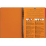 Blok KOLEGIJ B5 CRTE 80L PERFORACIJA ACTIVEBOOK OXFORD 400080787 | shoptok.hr