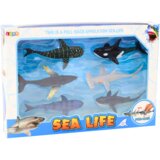  Figurines Vehicles Sea Animals Friction Drive Shark Killer Whale 6 pcs | Shoptok.si