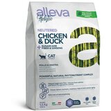 Alleva suva hrana za mačke holistic adult cat piletina i pačetina sa aloe verom i žen šenom 1.5kg Cene