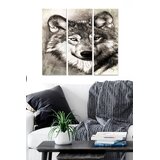 Wallity Set slika MDF221568, 3 dijela | Eponuda.ba