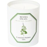 Carrière Frères Scented Candle Spearmint - 185 g Cene