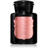 Paddywax Apothecary Noir Saffron Rose dišeča sveča 226 g