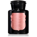 Paddywax Apothecary Noir Saffron Rose mirisna svijeća 226 g Cijene