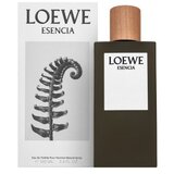 Loewe Esencia Toaletna voda za moške 100 ml | Shoptok.si