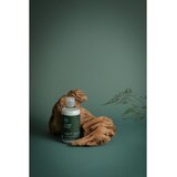 Paul Mitchell Tea Tree Special Conditioner osvežilni balzam za obremenjene lase in lasišče 1000 ml | Shoptok.si