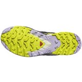 Salomon muške patike Xa Pro 3D V9 Gtx | ePonuda.com
