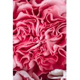 Conceptum Hypnose tepih (100x150) WOOKECE085 Cene