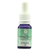 Nr. 22 Pavenka (Zimzelen) - 10 ml