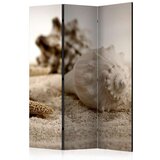  Paravan u 3 dijela - Beach and shell [Room Dividers] 135x172 Cijene