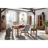Modern Living Umetna Rastlina Tulpe I | Shoptok.si