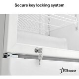 Starcrest profesionalna hladilna vitrina SPS-300WH Slike