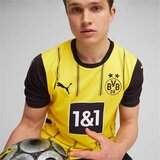  Muški Nogometni Dres Kratkih Rukava Puma Borussia | shoptok.hr