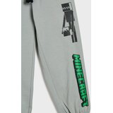 Sinsay Oversize jogger trenirke Minecraft Slike