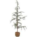 Bloomingville Umetna jelka višina 120 cm Vita – | Shoptok.si