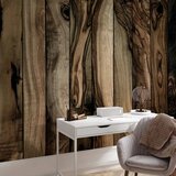  Foto tapeta - Olive Wood 300x210 Premium | shoptok.hr