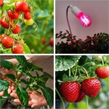  LED sijalica za rast biljaka PLANTY E27/8W/230V 1200K | Eponuda.com