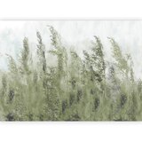 Artgeist Fototapeta Tall Grasses, 300x210cm | Shoptok.si