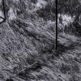  Čupavi tepih s visokim vlaknima tamnosiva 60x100 cm poliester | shoptok.hr