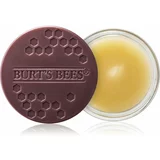 Burt's Bees overnight intensive lip treatment