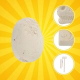 Kruzzel set za iskapanje dinosaura 5 u 1 s jajetom i lubanjom | shoptok.hr
