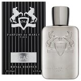 Parfums de Marly Pegasus parfumirana voda za moške 125 ml | Shoptok.si